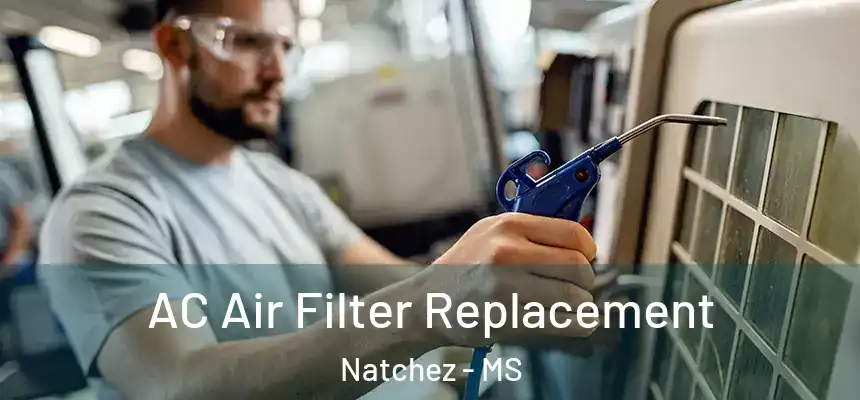  AC Air Filter Replacement Natchez - MS