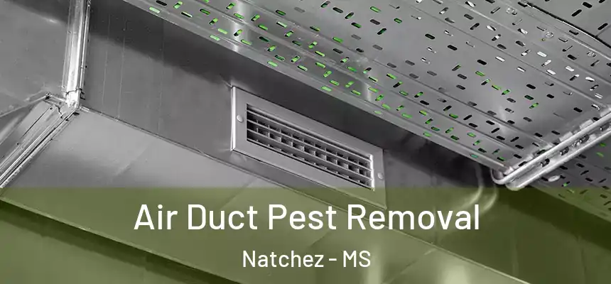 Air Duct Pest Removal Natchez - MS