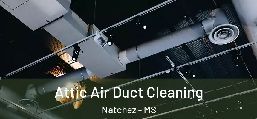  Attic Air Duct Cleaning Natchez - MS
