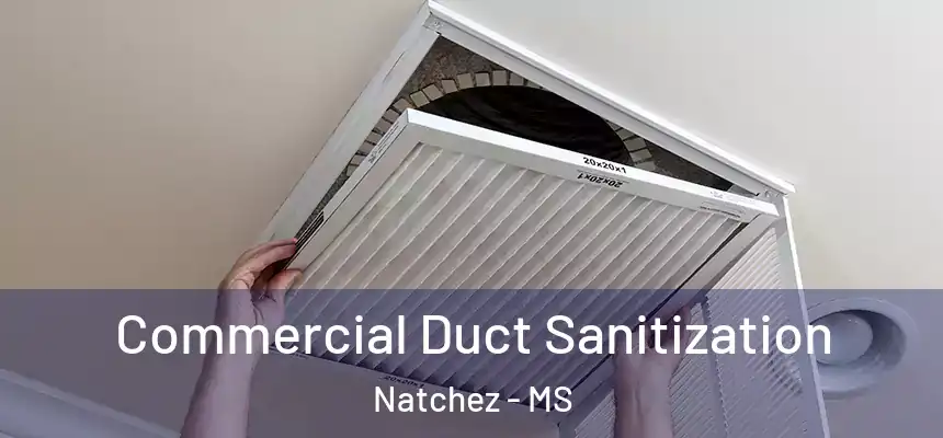 Commercial Duct Sanitization Natchez - MS