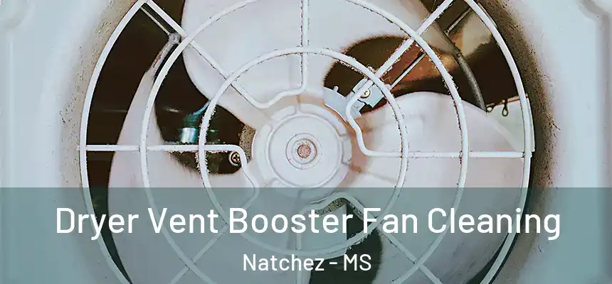  Dryer Vent Booster Fan Cleaning Natchez - MS