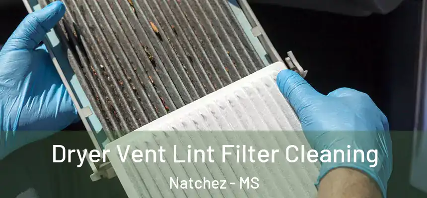 Dryer Vent Lint Filter Cleaning Natchez - MS
