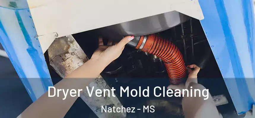 Dryer Vent Mold Cleaning Natchez - MS