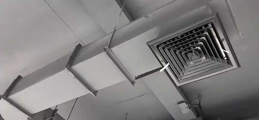 Our Pest Removal From Ducts Services in Natchez, MS