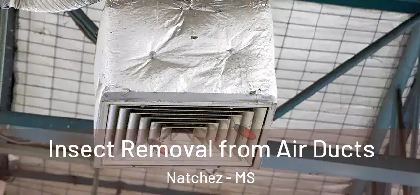 Insect Removal from Air Ducts Natchez - MS