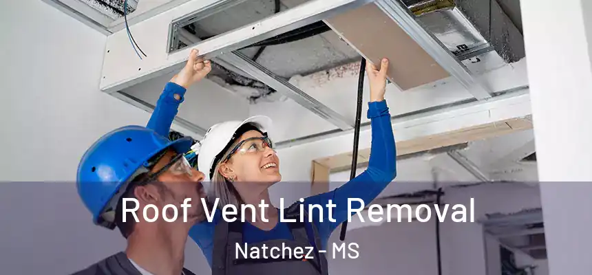 Roof Vent Lint Removal Natchez - MS