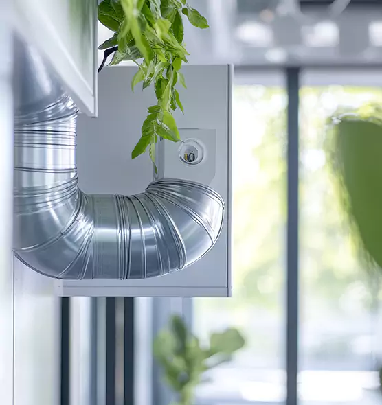 Professional Eco-Friendly Duct Cleaning Services in Natchez, MS