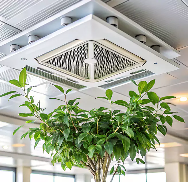 Why Homeowners & Businesses Trust Us in Natchez, MS?