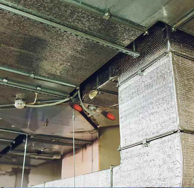 Why Homeowners & Businesses Trust Us Natchez, MS?